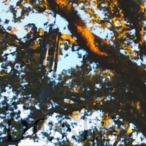 Starman Jr : The Doses